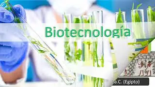 BIOTECNOLOGIA: COLORES Y ACONTECIMIENTOS
