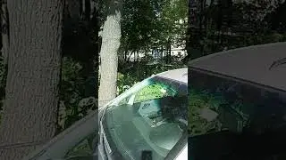 Типичный Петербург