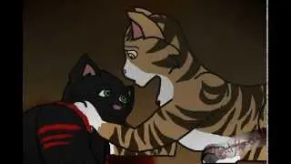 part 19 -Warrior Cats MAP In My Arms