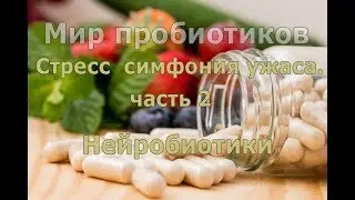 Мир пробиотиков. СТРЕСС   СИМФОНИЯ УЖАСА.  часть 2