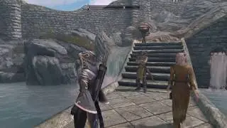 Ночной Skyrim.Каджитка-лучник.