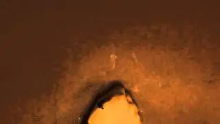 Ёжики
