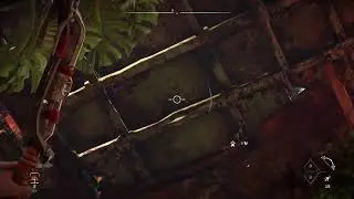 Continuing the journey. Horizon zero dawn Part1