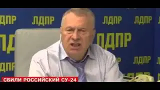 Жириновский о сбитом су 24 турками
