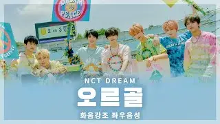 🎵 NCT DREAM (엔시티 드림) - 오르골 (Life Is Still Going On) (화음강조 좌우음성)