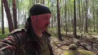 DJI osmo action.Новая камера!Тест камеры на копе в лесу.