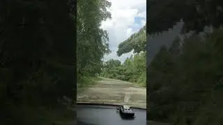 Проселочная дорога в сказочный лес.