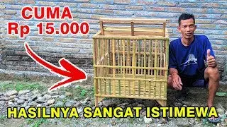 CARA MEMBUAT KANDANG AYAM UNTUK PEMBESARAN SEDERHANA