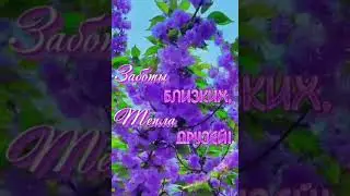 Вам от меня. Доброе утро 🥰