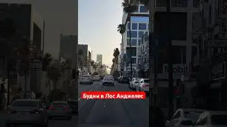 Будни в Лос Анджелес #евгенийкурданов #евгенийморяк #юмор