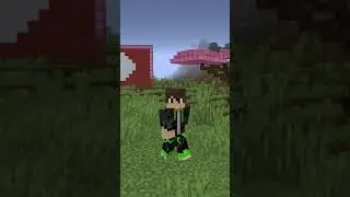 kenapa wither skeleton hitam