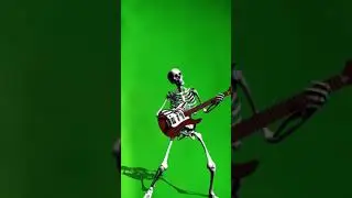 Rock guitar skeleton