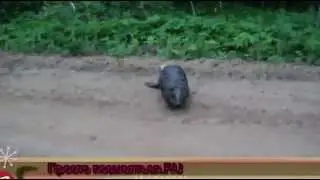 Я же сказал не снимай меня