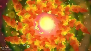 Back To The Roots - Psychedelic Visuals | Trippy Mediation