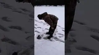 Рыбалка на жерлицы#shorts