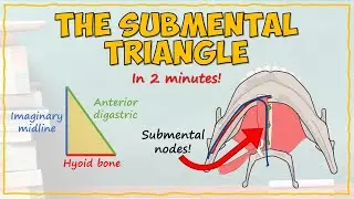 The Submental Triangle