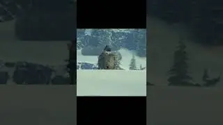 yoh tank #shorts #wotприколы #wot