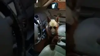 Ейск ! Вечер , собрался на работу , а ты куда ?!!