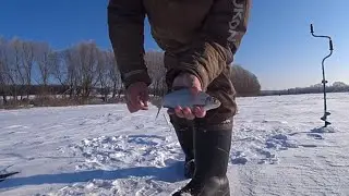 густера на покаток на Оке, рыбацкие байки, судак на мотыля, зимняя рыбалка в феврале
