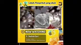 APA ITU SERBUK SARI