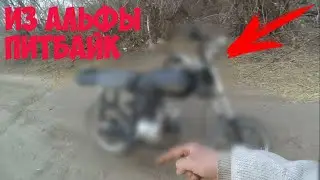 WE TURNED AN ALPHA INTO A PIT BIKE