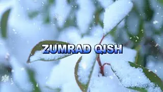 ZUMRAD QISH