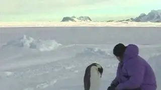 The lost Emperor