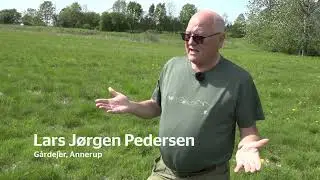 Lars Jørgens klimaprojekt kan spare klimaet for 1.300 tons CO2