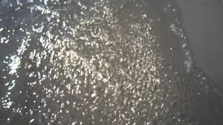 Море в Янтарном