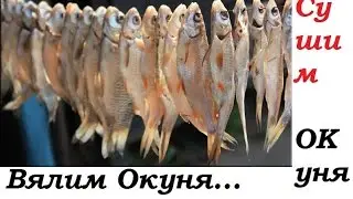 Как сушить Окуня