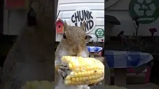 Here’s Something You Don’t See Everyday!