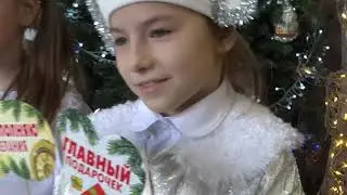 ДДВ Новогоднее чудо 4б