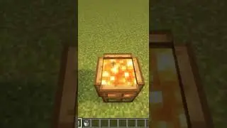 Minecraft Logic 🤐 #shorts