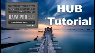 Raya Pro Tutorial - Getting Started with the Hub