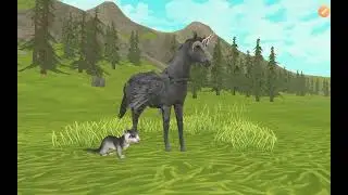 Новое видео!