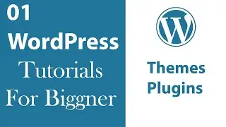 WordPress mn Themes ur Plugins ka istmal | Theme ur Plugin kysy install kryn  | Sial Tech