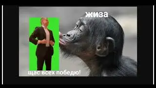 Подборка мемов по Apex Legends (2024)