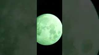 If you can see it. What was it?