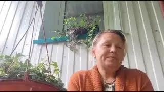 поговорим... обзор цветов на рынке. 🤗