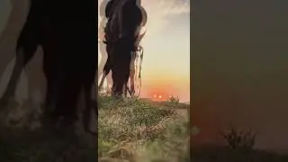 Смерть 😔