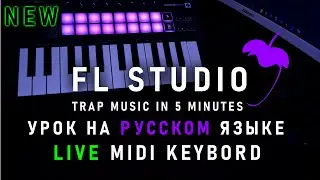 FL Studio 20/TRAP MUSIC FOR 5 MINUTES