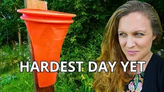 Off Grid Couple Butcher Chickens For The First Time