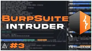 BURP SUITE: INTRUDER en ESPAÑOL - TryHackMe Jr. Penetration Tester
