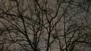 Young Piwo - Dead Century (uwaga giga edgy)