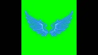 wings green screen effect 😎