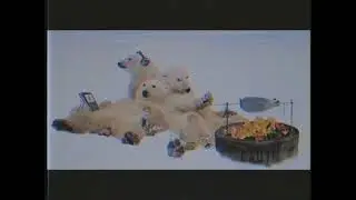 МОИ ПСЫ НЕ НОСЯТ ЦЕПИ