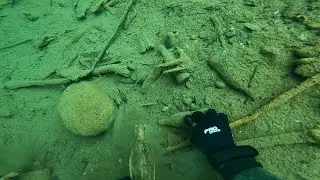 Diving for 100 year old jars and bottles!