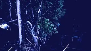🔴 SELAMAT MALAM SAHABAT MISTERI