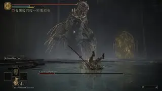 ELDEN RING Golden Hippopotamus Boss fight