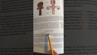 Egyptian Ankh | Book of Wisdom Vol. 2 Preview 👀 #spiritualawakening ☥✨